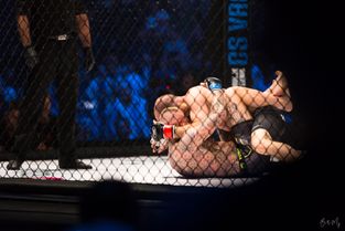 MMA i KB Hallen