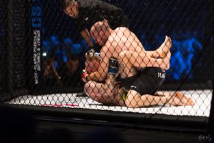 MMA i KB Hallen