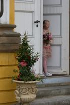Madens Folkemøde