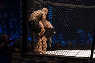 MMA i KB Hallen