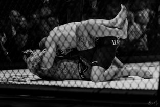 MMA i KB Hallen