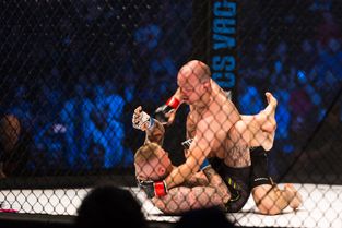 MMA i KB Hallen