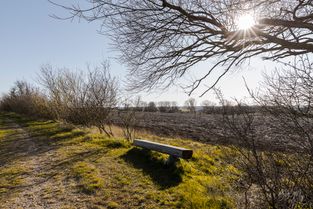 Nørre Vedby Grusgrav
