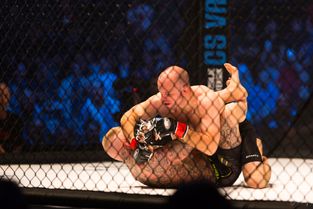 MMA i KB Hallen