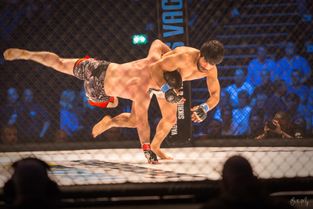 MMA i KB Hallen