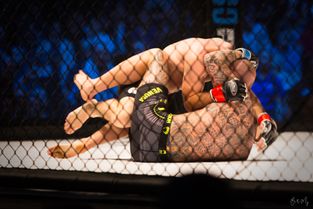 MMA i KB Hallen