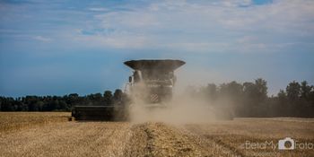 Fendt Ideal 9T