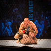 MMA i KB Hallen