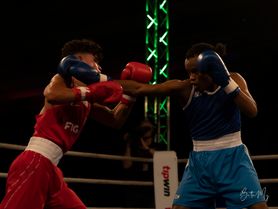 Boksning-024-0564