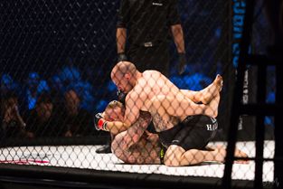 MMA i KB Hallen