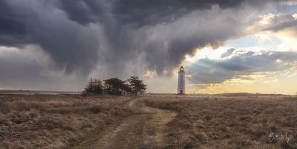 Hyldekrog