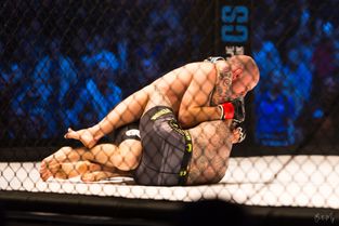 MMA i KB Hallen